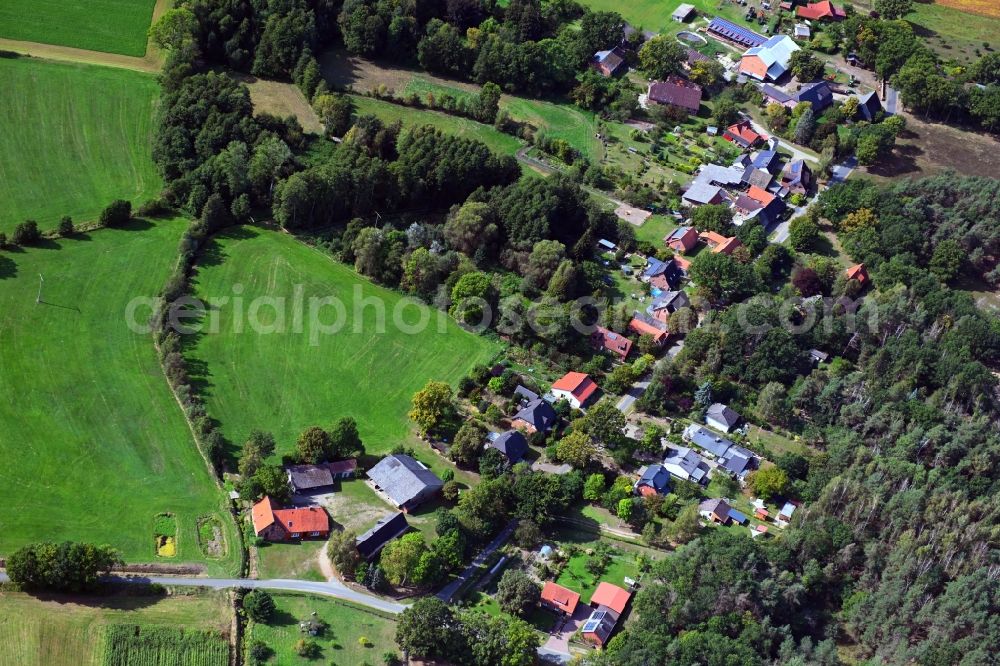 Volkfien from the bird's eye view: Village - view on the edge of forested areas in Volkfien in the state Lower Saxony, Germany