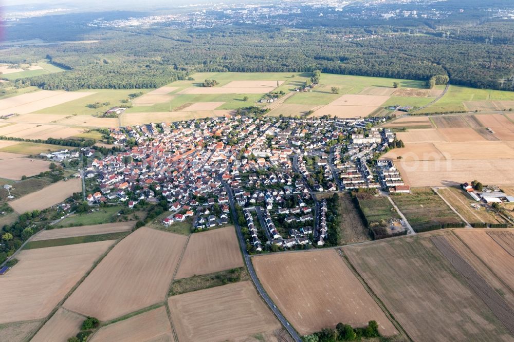 Aerial image Wachenbuchen - Village - view on the edge of forested areas in Wachenbuchen in the state Hesse, Germany
