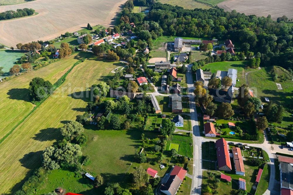 Wilsickow from the bird's eye view: Village - view on the edge of forested areas in Wilsickow in the state Brandenburg, Germany