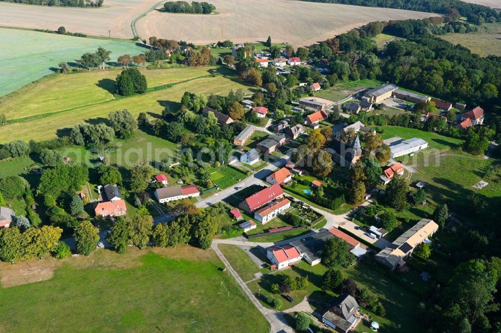 Aerial photograph Wilsickow - Village - view on the edge of forested areas in Wilsickow in the state Brandenburg, Germany