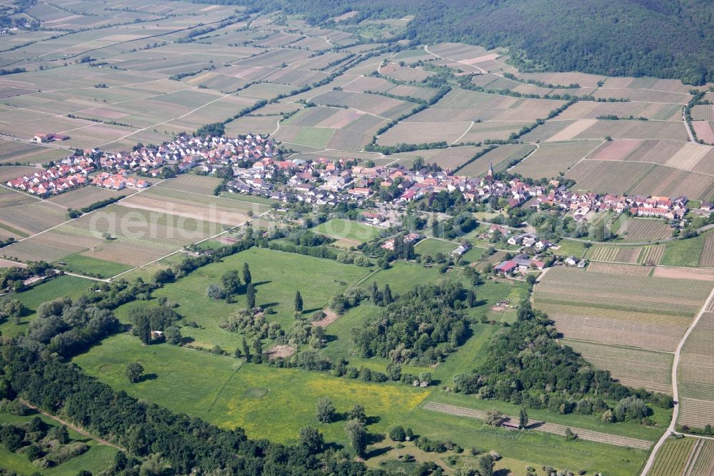 Forst an der Weinstraße from above - Village - view on the edge of wine yards in Forst an der Weinstrasse in the state Rhineland-Palatinate, Germany