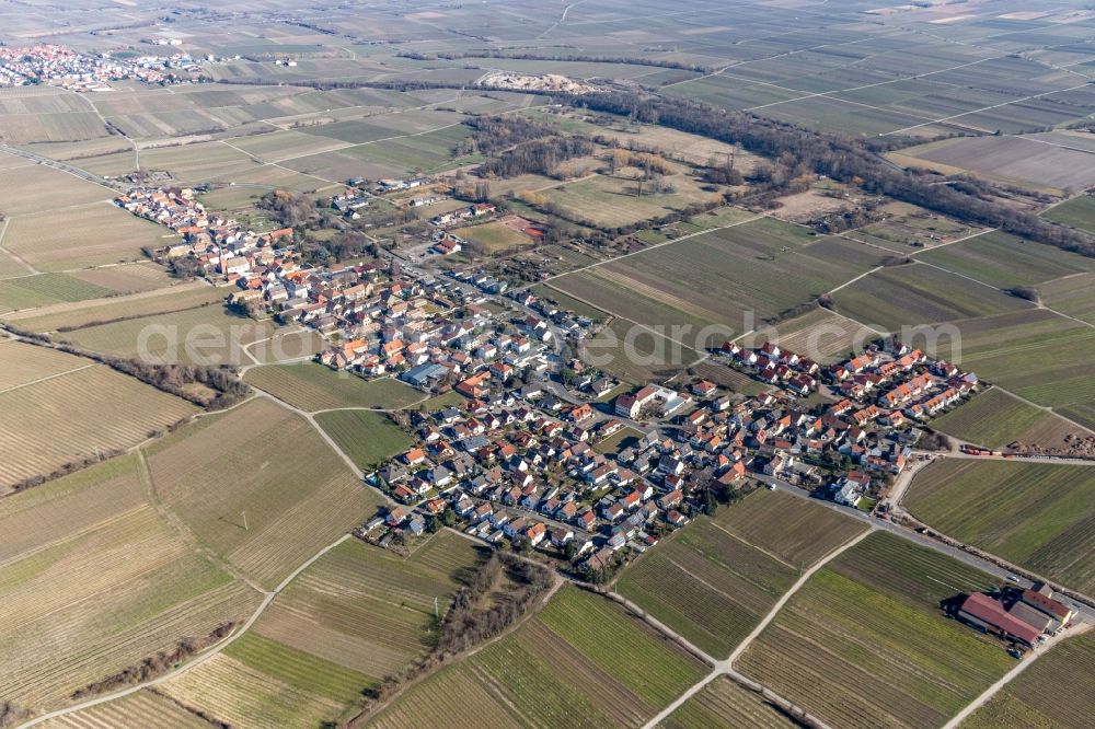 Aerial image Forst an der Weinstraße - Village - view on the edge of wine yards in Forst an der Weinstrasse in the state Rhineland-Palatinate, Germany