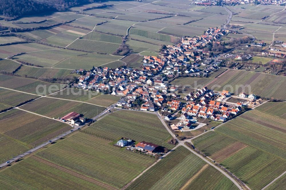 Aerial photograph Forst an der Weinstraße - Village - view on the edge of wine yards in Forst an der Weinstrasse in the state Rhineland-Palatinate, Germany