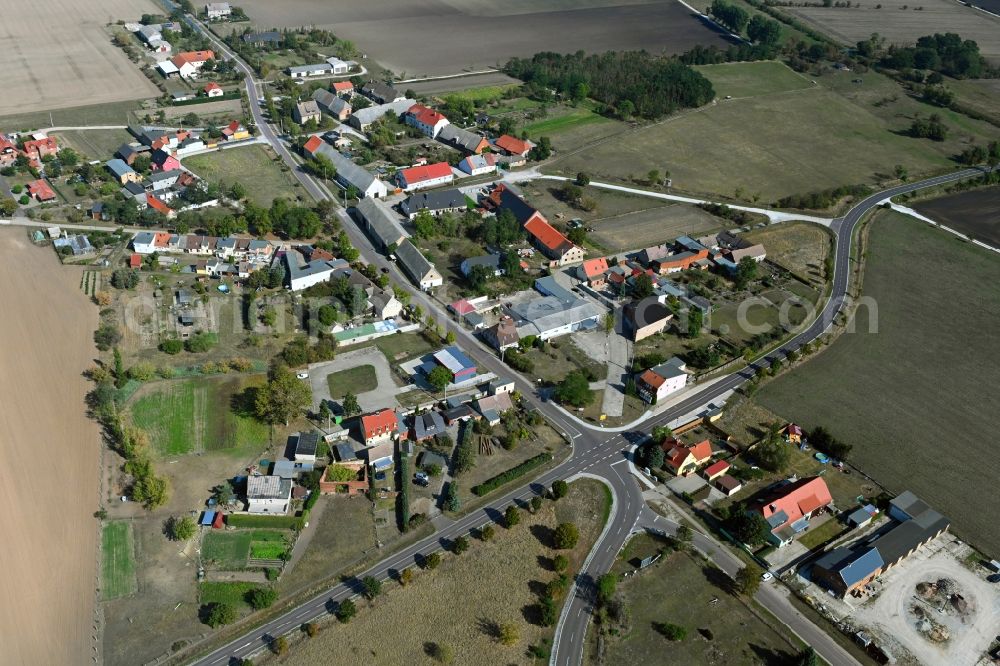 Sachsendorf from the bird's eye view: Village view in Sachsendorf in the state Saxony-Anhalt, Germany