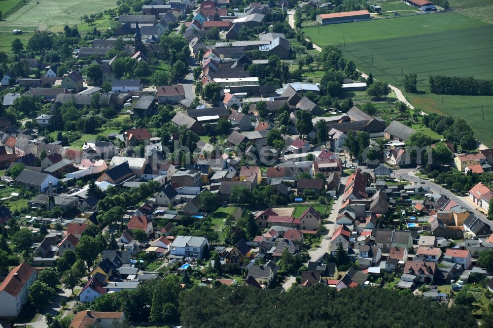 Aerial photograph Steutz - Village view of the streets and houses of Steutz in the state Saxony-Anhalt