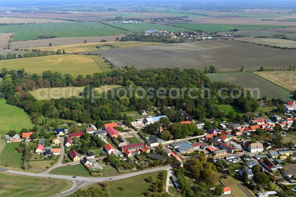 Trinum from the bird's eye view: Village view in Trinum in the state Saxony-Anhalt, Germany