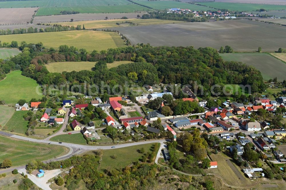 Aerial image Trinum - Village view in Trinum in the state Saxony-Anhalt, Germany