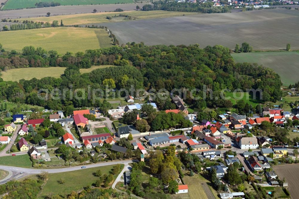 Aerial photograph Trinum - Village view in Trinum in the state Saxony-Anhalt, Germany