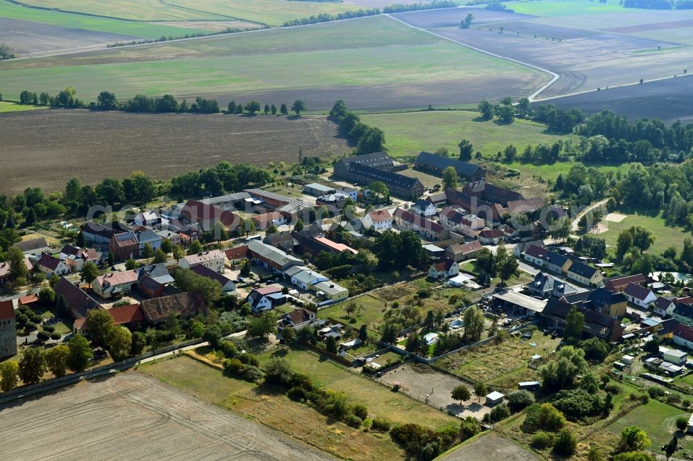 Aerial photograph Vehlitz - Village view in Vehlitz in the state Saxony-Anhalt, Germany