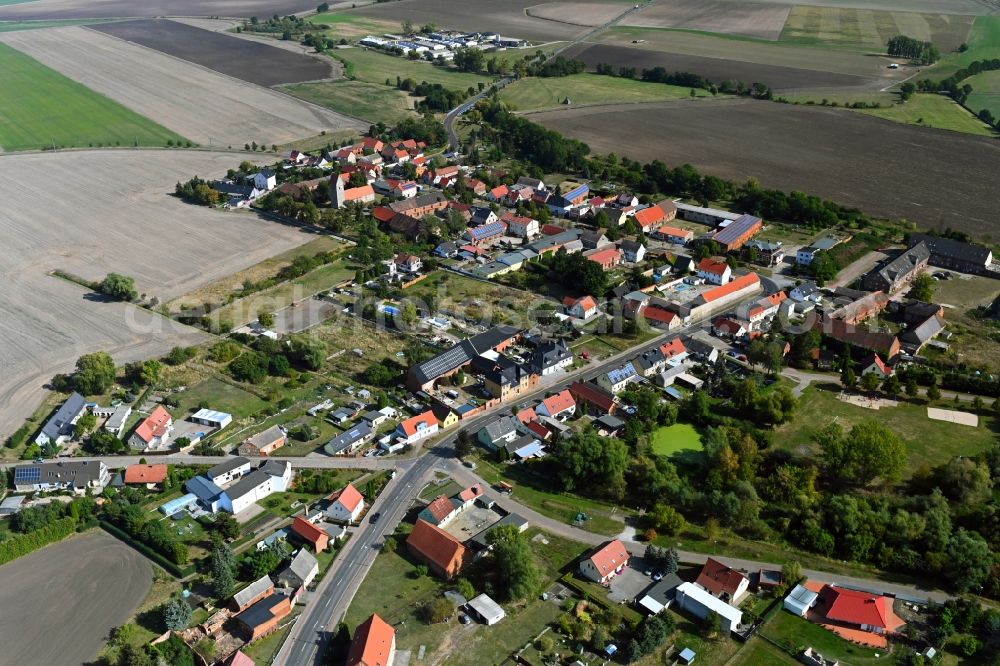 Vehlitz from the bird's eye view: Village view in Vehlitz in the state Saxony-Anhalt, Germany