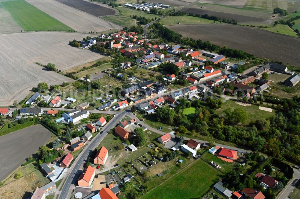 Aerial image Vehlitz - Village view in Vehlitz in the state Saxony-Anhalt, Germany