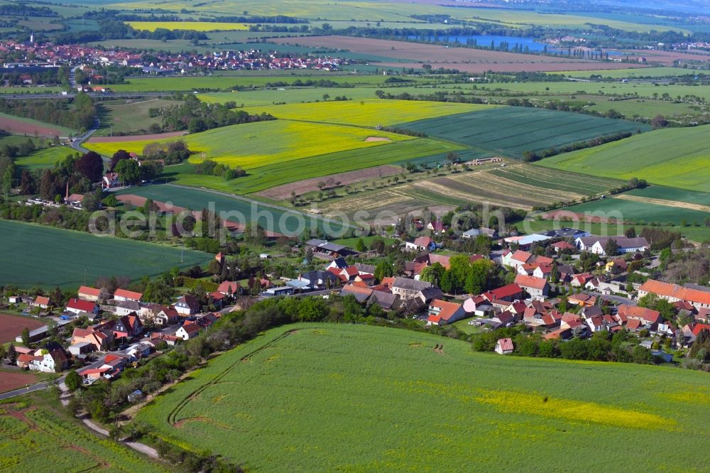 Aerial photograph Wickerode - Village view in Wickerode in the state Saxony-Anhalt, Germany