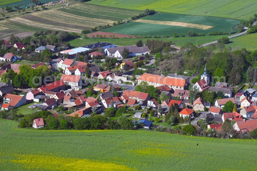 Wickerode from above - Village view in Wickerode in the state Saxony-Anhalt, Germany