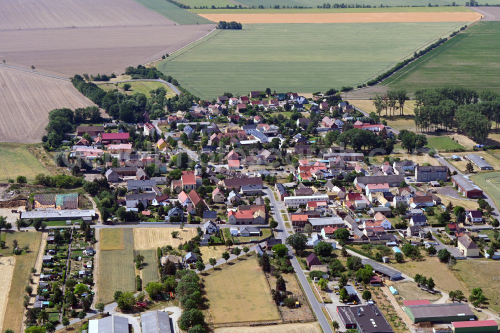 Aerial image Zschepplin - Dorf - View of Zschepplin surrounded by fields and agricultural land in the state of Saxony