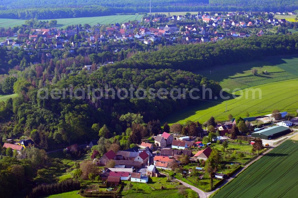 Aerial photograph Blumerode - Agricultural land, field boundaries and forest surround the settlement area of a??a??the village in Blumerode in the state Saxony-Anhalt, Germany