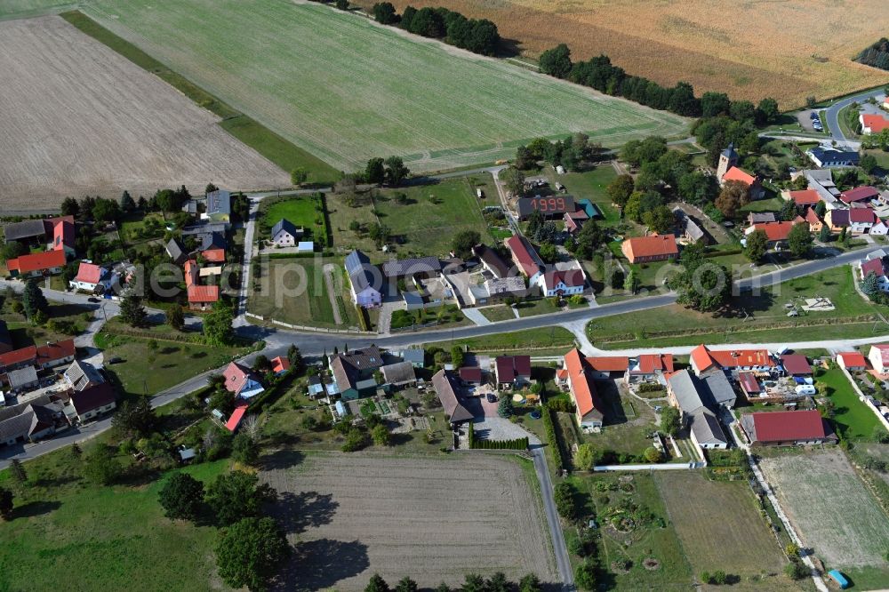 Aerial photograph Fröhden - Agricultural land and field borders surround the settlement area of the village in Froehden in the state Brandenburg, Germany