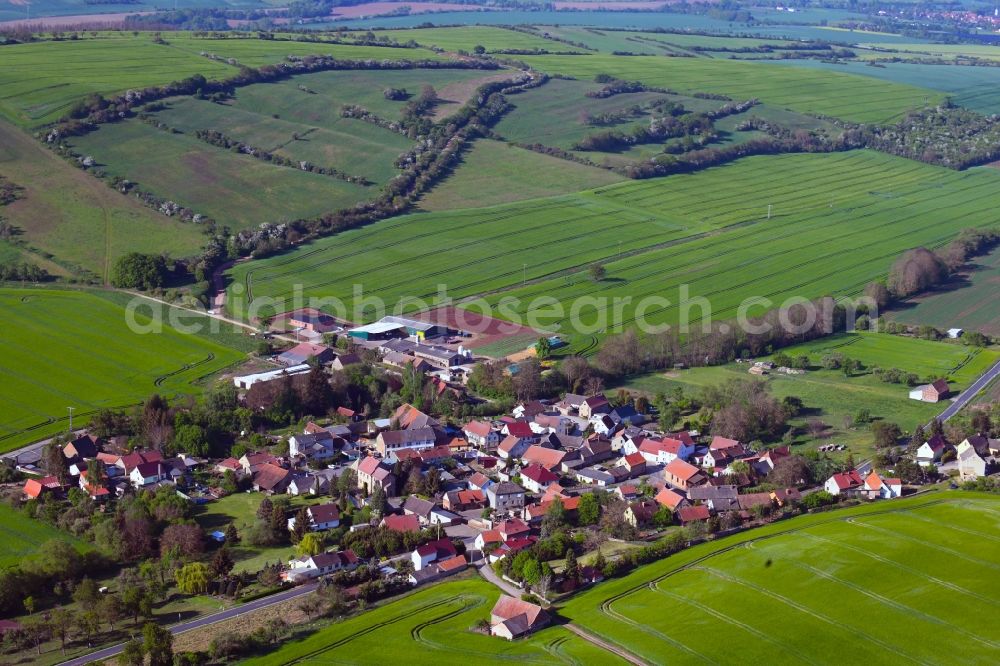 Kleinleinungen from above - Agricultural land and field borders surround the settlement area of the village in Kleinleinungen in the state Saxony-Anhalt, Germany
