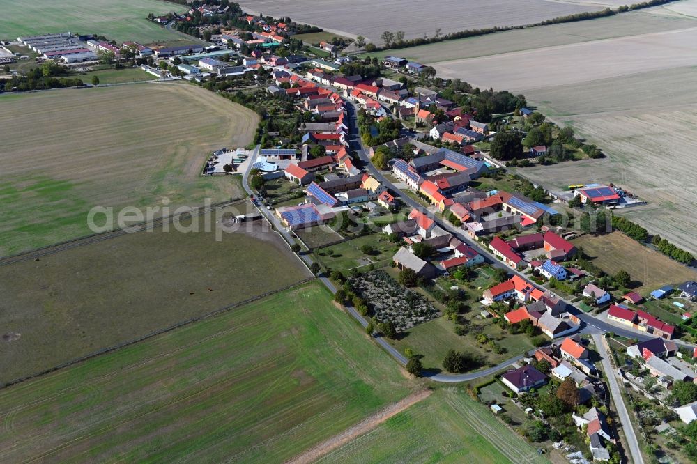 Langenlipsdorf from the bird's eye view: Agricultural land and field borders surround the settlement area of the village in Langenlipsdorf in the state Brandenburg, Germany