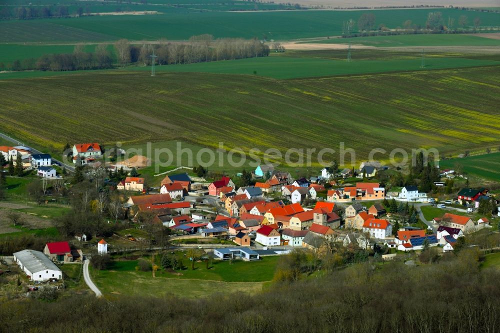 Rehehausen from the bird's eye view: Agricultural land and field borders surround the settlement area of the village Rehehausen in the state Saxony-Anhalt, Germany