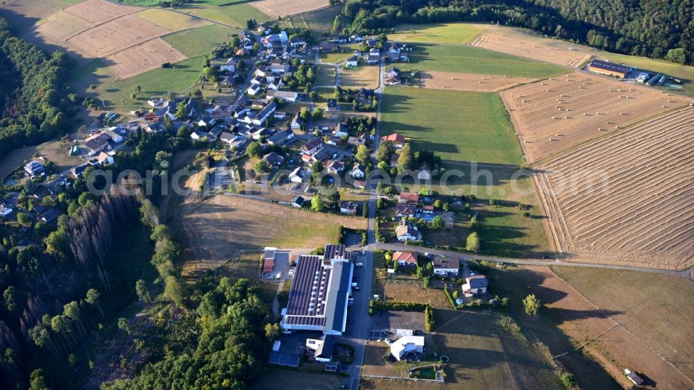 Aerial image Bühlingen - Agricultural land and field borders surround the settlement area of the village in Buehlingen in the state Rhineland-Palatinate, Germany