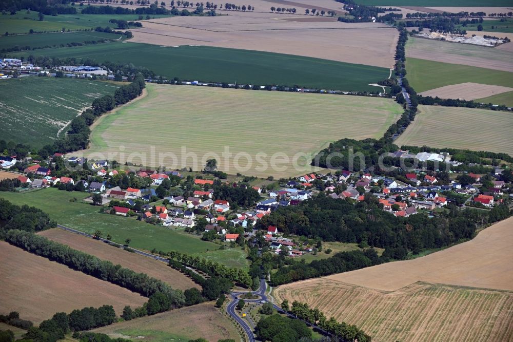 Aerial image Brusendorf - Agricultural land and field borders surround the settlement area of the village in Brusendorf in the state Brandenburg, Germany