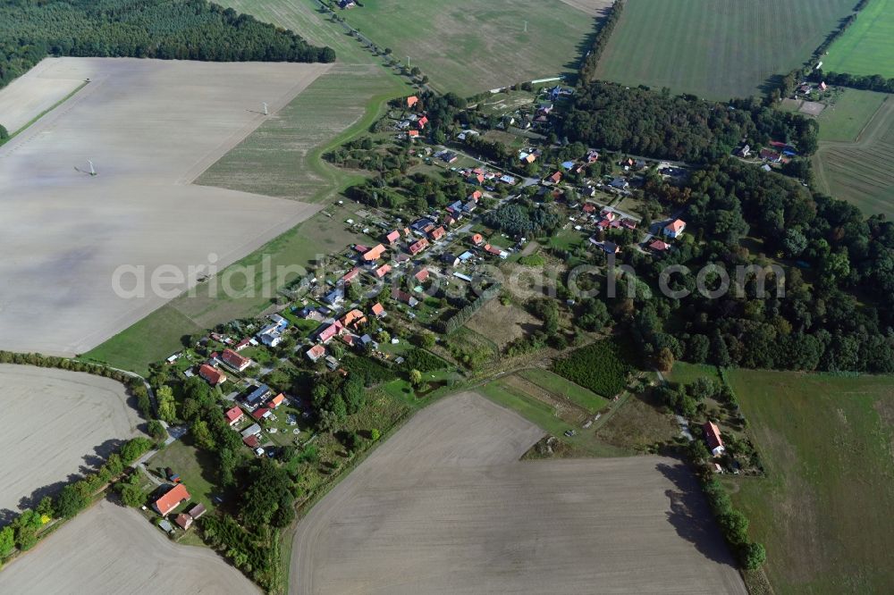 Aerial image Dammereez - Agricultural land and field borders surround the settlement area of the village in Dammereez in the state Mecklenburg - Western Pomerania, Germany