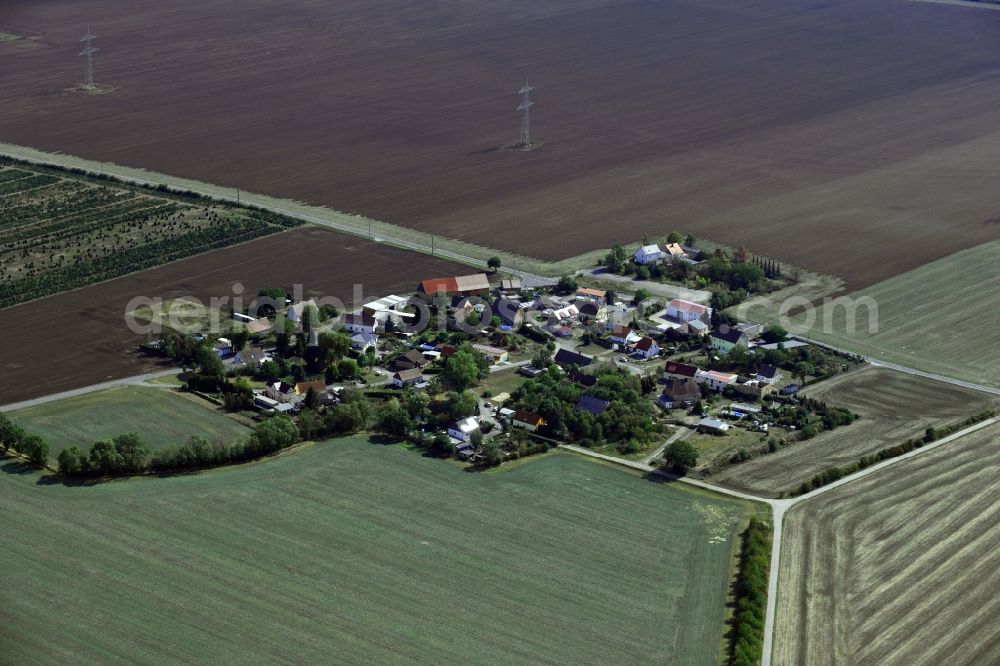 Aerial photograph Doberstau - Agricultural land and field borders surround the settlement area of the village in Doberstau in the state Saxony, Germany