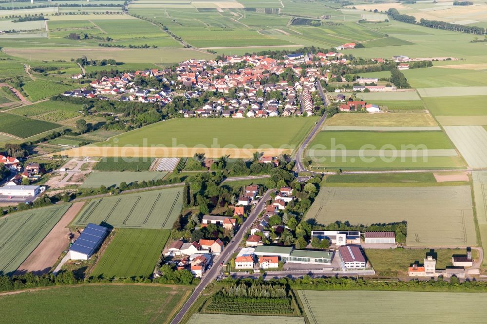 Dorn-Dürkheim from above - Agricultural land and field borders surround the settlement area of the village in Dorn-Duerkheim in the state Rhineland-Palatinate, Germany