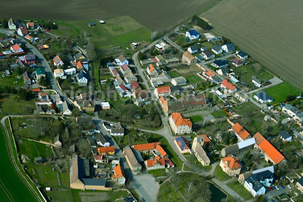Asendorf from the bird's eye view: Agricultural land and field boundaries surround the settlement area of the village in Asendorf in the state Saxony-Anhalt, Germany