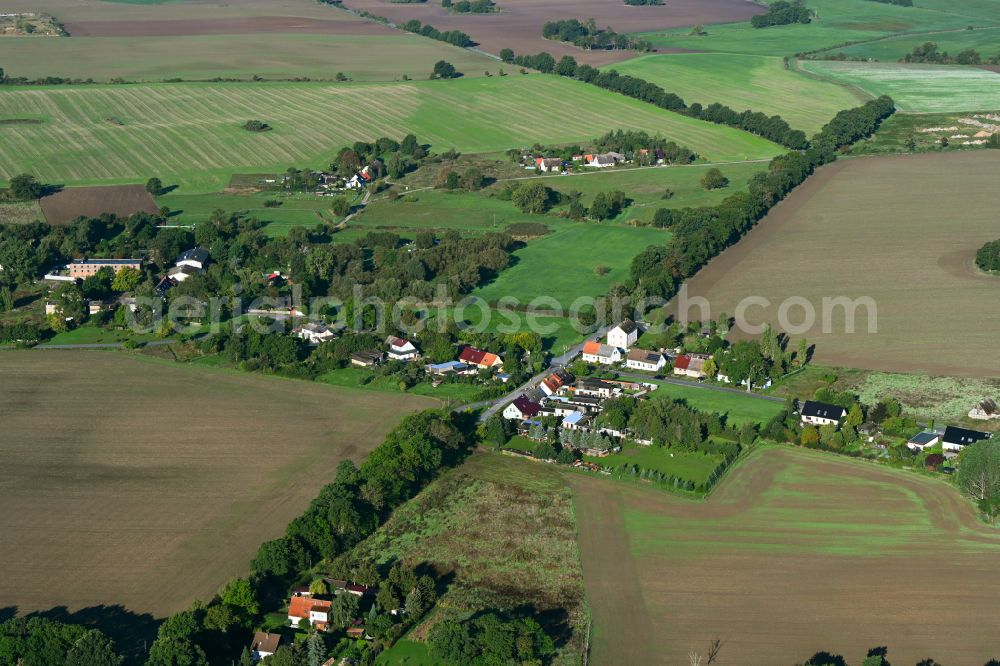 Aerial photograph Badingen - Agricultural land and field boundaries surround the settlement area of the village in Badingen in the state Brandenburg, Germany