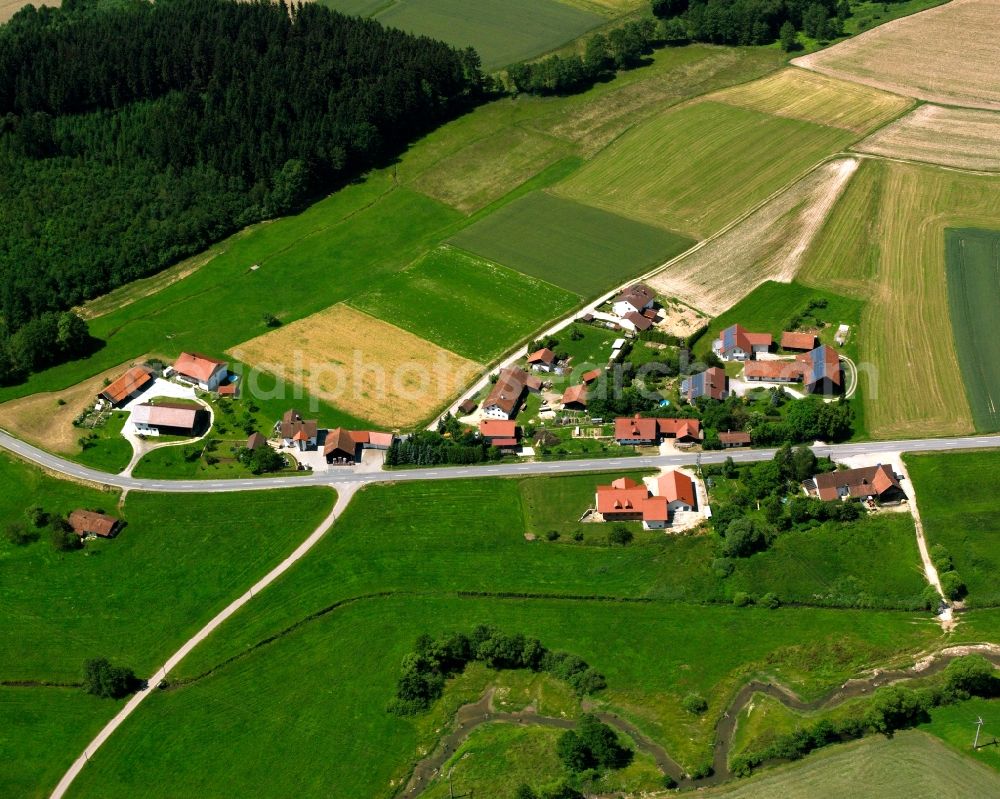 Au from the bird's eye view: Agricultural land and field boundaries surround the settlement area of the village in Au in the state Bavaria, Germany
