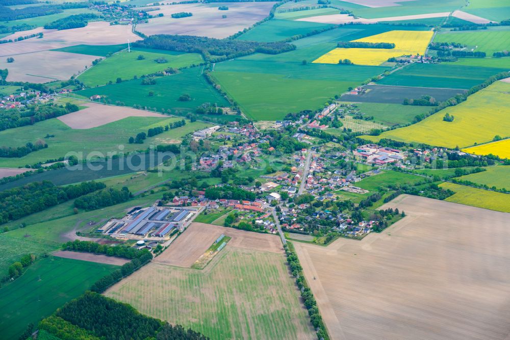 Aerial photograph Berge - Agricultural land and field boundaries surround the settlement area of the village in Berge in the state Brandenburg, Germany