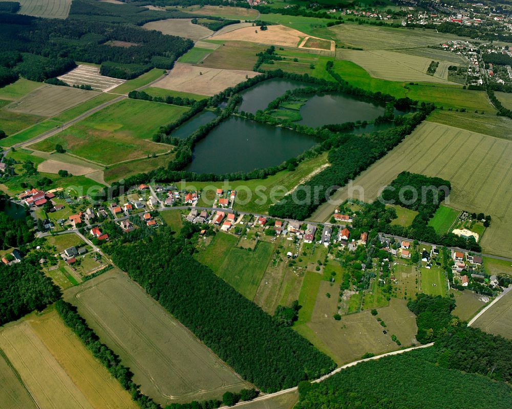 Aerial photograph Böhla - Agricultural land and field boundaries surround the settlement area of the village in Böhla in the state Saxony, Germany