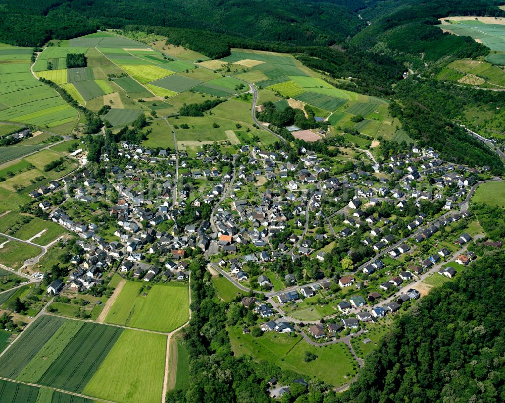 Biebernheim from the bird's eye view: Agricultural land and field boundaries surround the settlement area of the village in Biebernheim in the state Rhineland-Palatinate, Germany