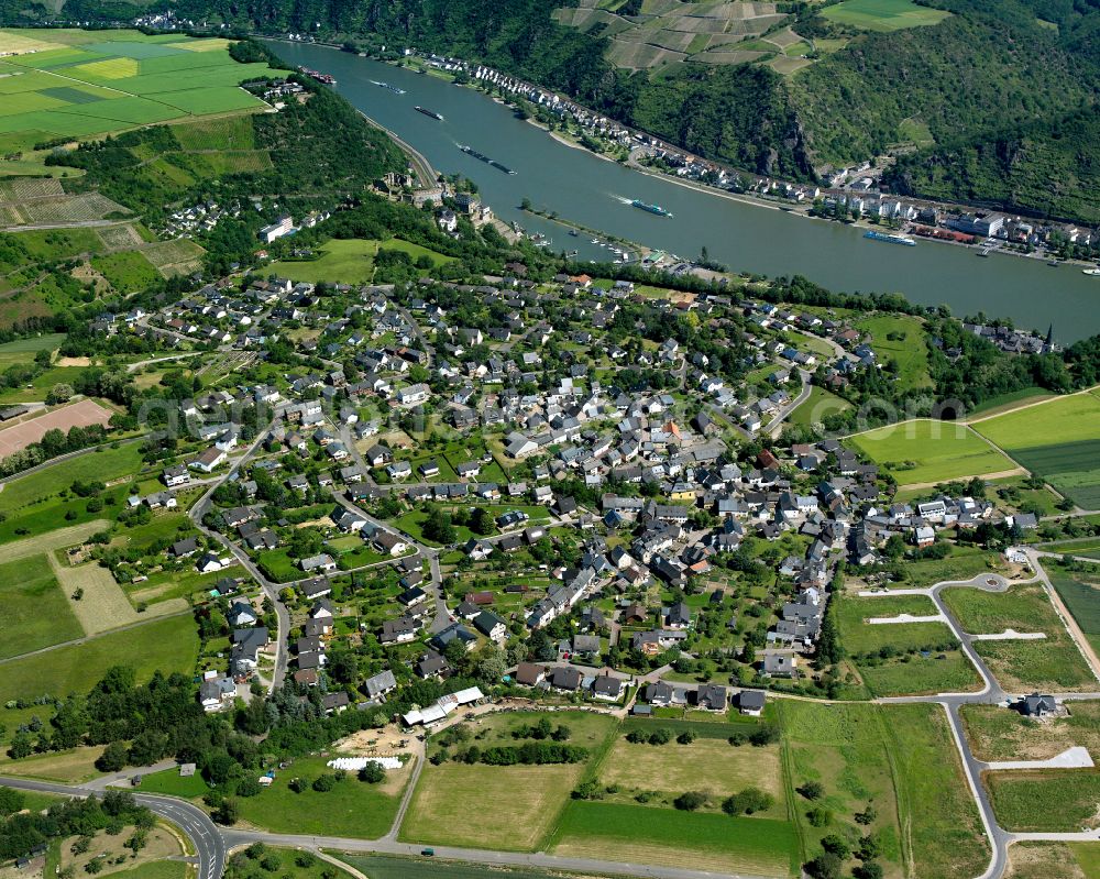 Aerial image Biebernheim - Agricultural land and field boundaries surround the settlement area of the village in Biebernheim in the state Rhineland-Palatinate, Germany