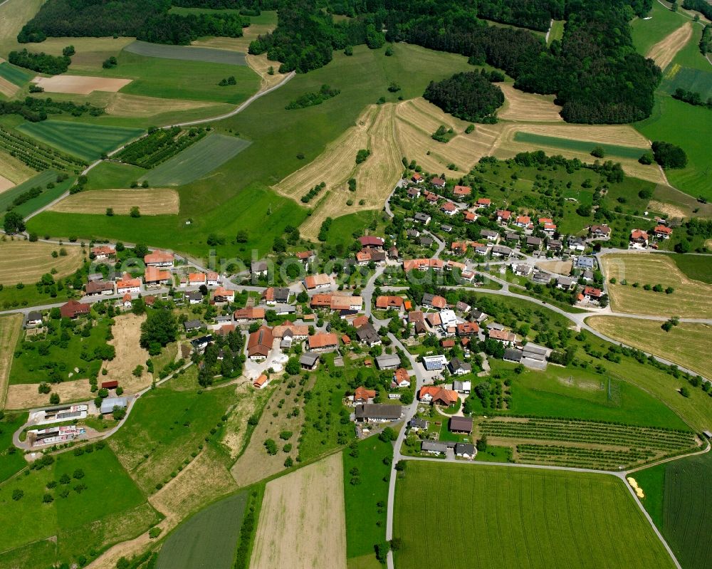 Birkingen from the bird's eye view: Agricultural land and field boundaries surround the settlement area of the village in Birkingen in the state Baden-Wuerttemberg, Germany