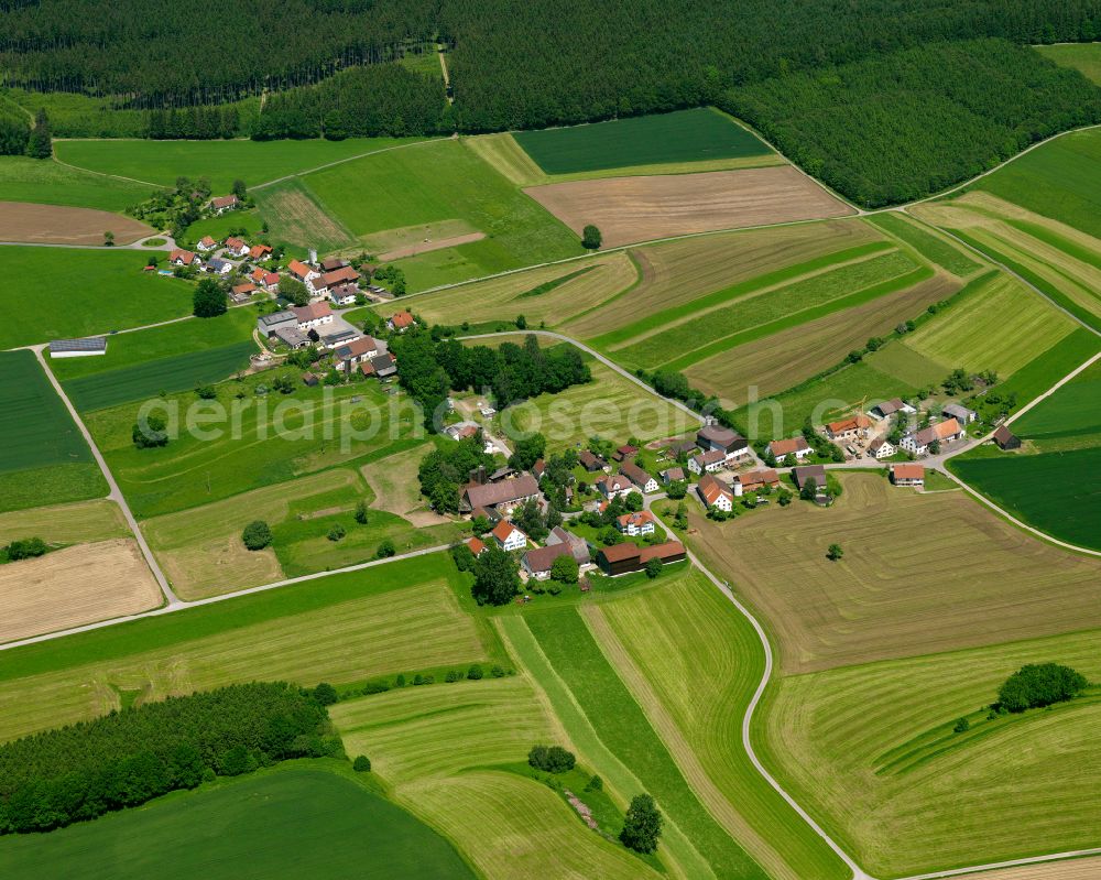 Bollsberg from the bird's eye view: Agricultural land and field boundaries surround the settlement area of the village in Bollsberg in the state Baden-Wuerttemberg, Germany