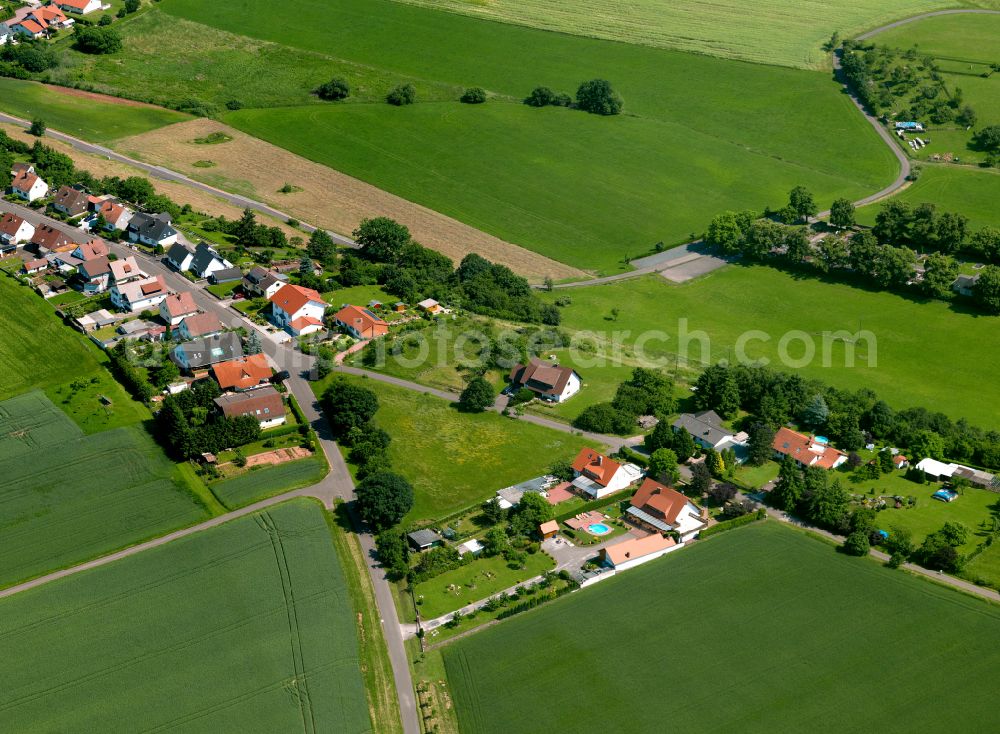 Aerial image Börrstadt - Agricultural land and field boundaries surround the settlement area of the village in Börrstadt in the state Rhineland-Palatinate, Germany