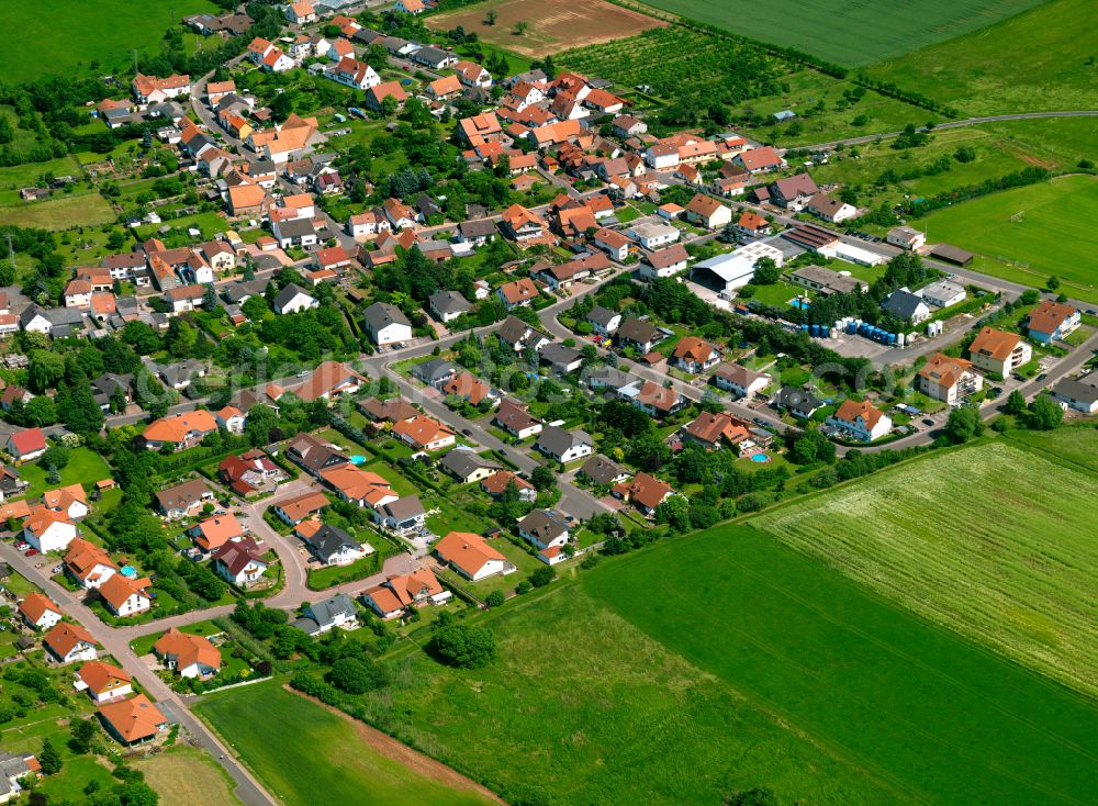 Aerial image Börrstadt - Agricultural land and field boundaries surround the settlement area of the village in Börrstadt in the state Rhineland-Palatinate, Germany