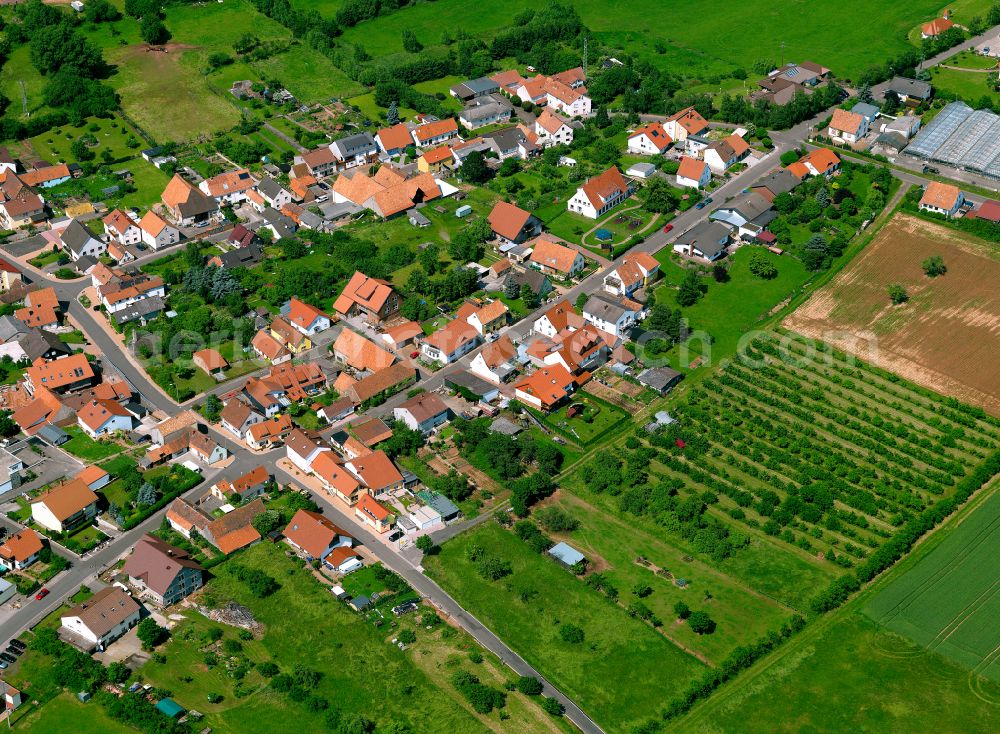 Börrstadt from above - Agricultural land and field boundaries surround the settlement area of the village in Börrstadt in the state Rhineland-Palatinate, Germany