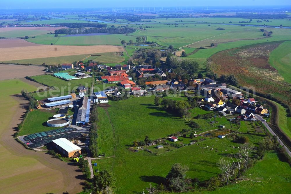 Aerial photograph Bösewig - Agricultural land and field boundaries surround the settlement area of the village in Boesewig in the state Saxony-Anhalt, Germany