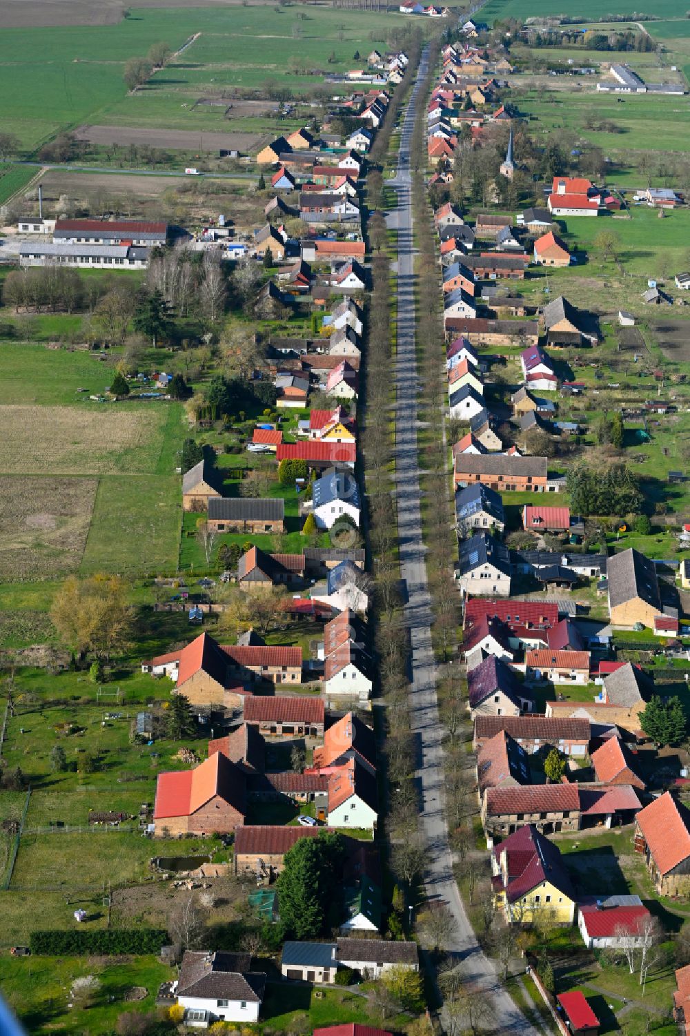 Dierberg from the bird's eye view: Agricultural land and field boundaries surround the settlement area of the village in Dierberg in the state Brandenburg, Germany