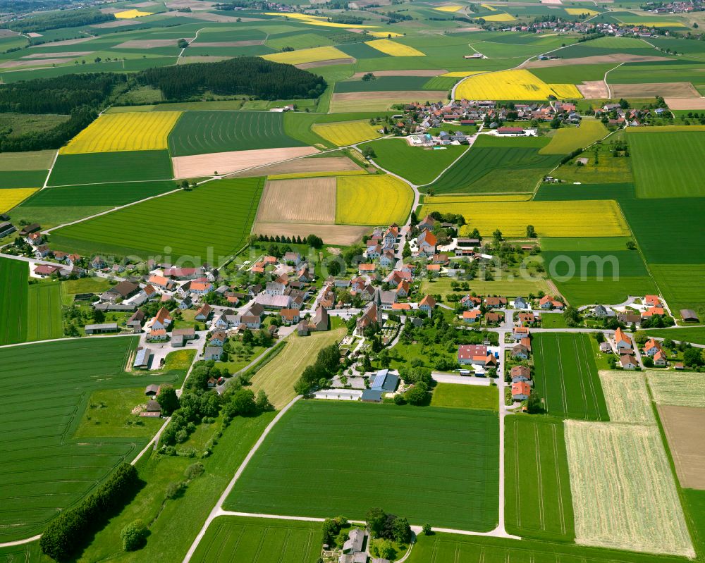 Aerial image Dieterskirch - Agricultural land and field boundaries surround the settlement area of the village in Dieterskirch in the state Baden-Wuerttemberg, Germany