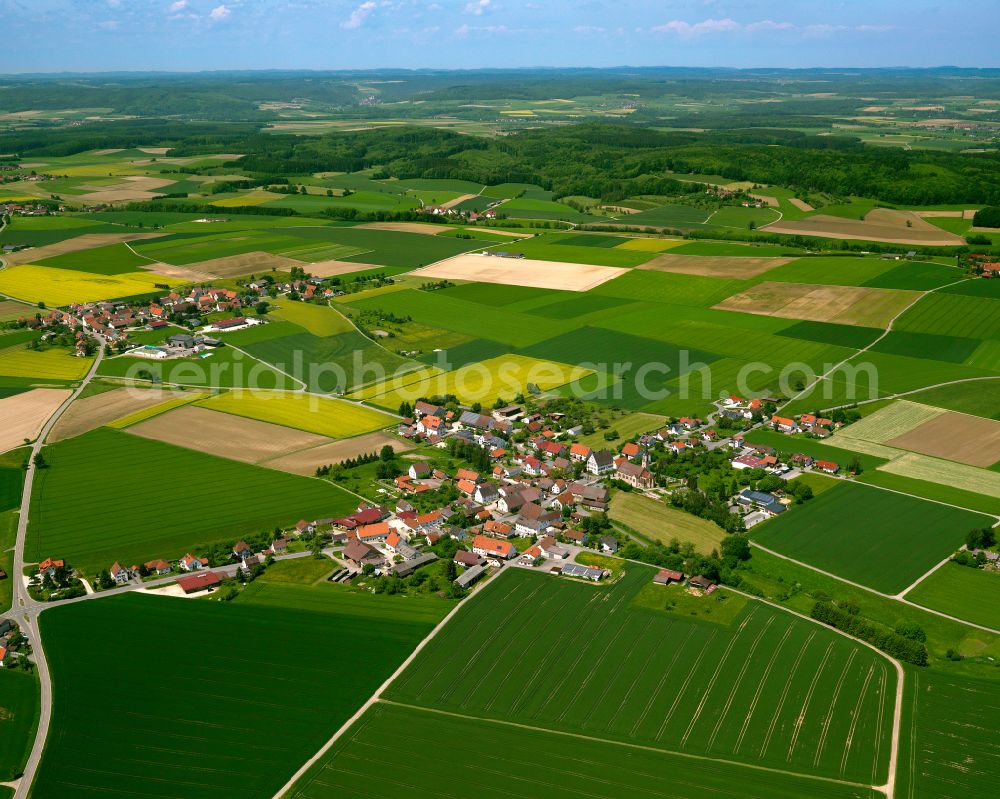 Dieterskirch from above - Agricultural land and field boundaries surround the settlement area of the village in Dieterskirch in the state Baden-Wuerttemberg, Germany