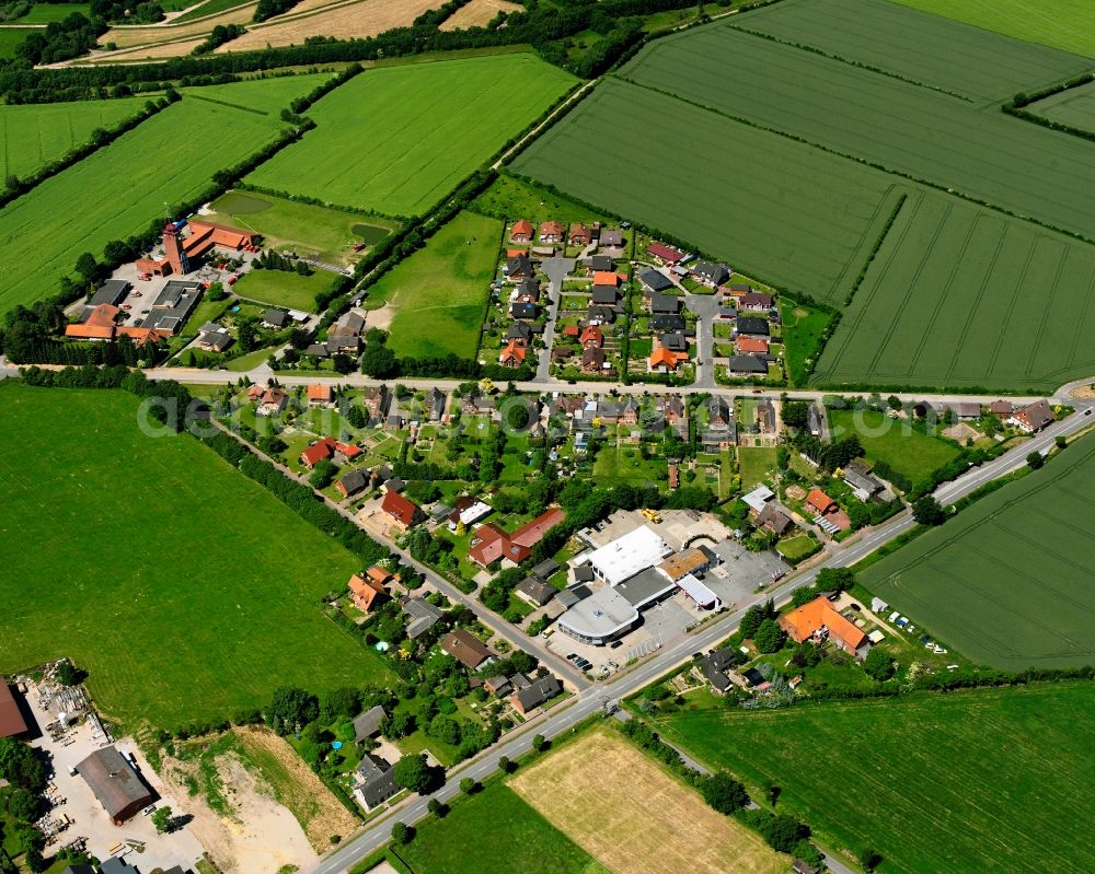 Elmenhorst from the bird's eye view: Agricultural land and field boundaries surround the settlement area of the village in Elmenhorst in the state Schleswig-Holstein, Germany