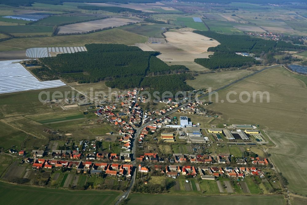 Buchholz from above - Agricultural land and field boundaries surround the settlement area of the village along the Dorfstrasse in Buchholz in the state Brandenburg, Germany
