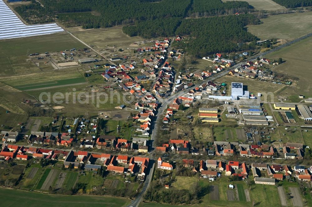 Buchholz from the bird's eye view: Agricultural land and field boundaries surround the settlement area of the village along the Dorfstrasse in Buchholz in the state Brandenburg, Germany