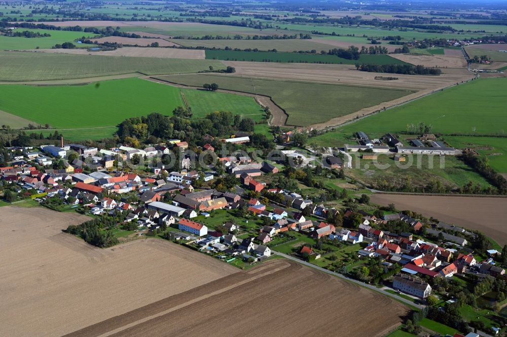 Globig from the bird's eye view: Agricultural land and field boundaries surround the settlement area of the village in Globig in the state Saxony-Anhalt, Germany