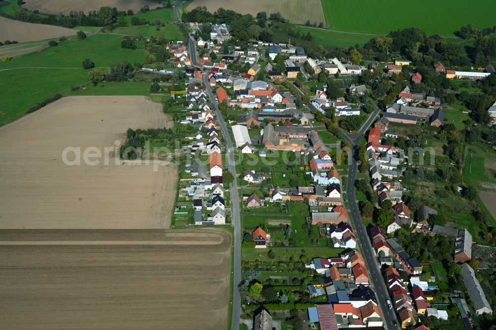 Aerial image Globig - Agricultural land and field boundaries surround the settlement area of the village in Globig in the state Saxony-Anhalt, Germany