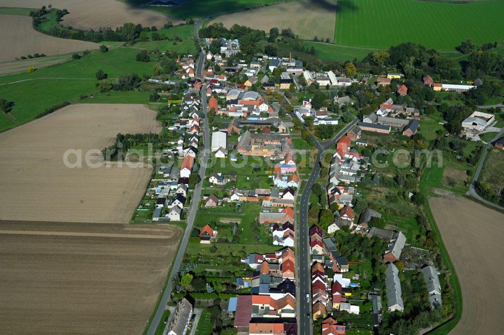 Aerial photograph Globig - Agricultural land and field boundaries surround the settlement area of the village in Globig in the state Saxony-Anhalt, Germany